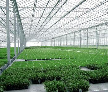 济宁连栋温棚 济宁连栋温棚